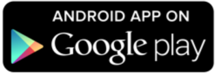 Play Store play store