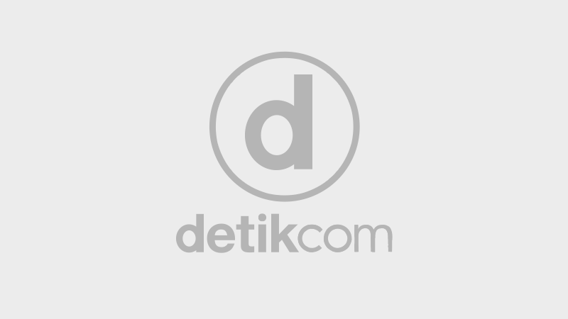 Melongok Teman Bersayap dari Papua
