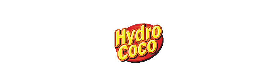 Sponsor